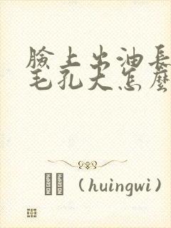 脸上出油长痘痘毛孔大怎么办