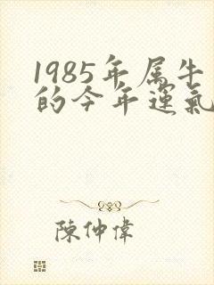 1985年属牛的今年运气怎么样