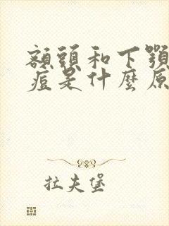 额头和下颚长痘痘是什么原因封面