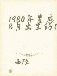 1980年农历8月出生的猴命运
