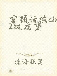 宫颈活检cin2级病变