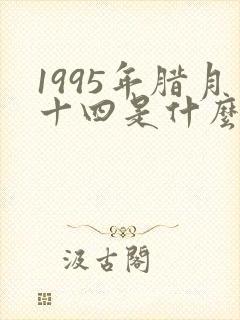 1995年腊月十四是什么命