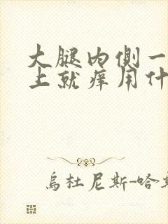 大腿内侧一到晚上就痒用什么药膏