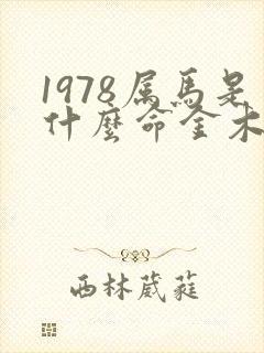 1978属马是什么命金木水火土封面