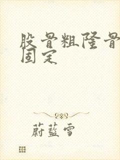 股骨粗隆骨折内固定