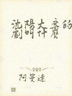 沈阳大案的电视剧叫什么