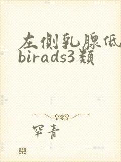 左侧乳腺低回声birads3类