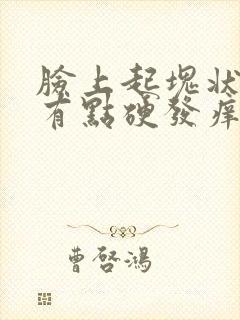 脸上起块状疙瘩有点硬发痒封面