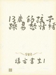 13岁的孩子暴躁易怒情绪失控封面