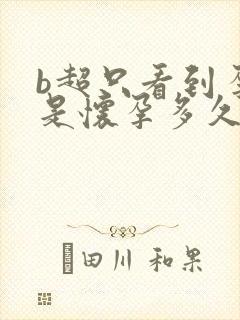b超只看到孕囊是怀孕多久