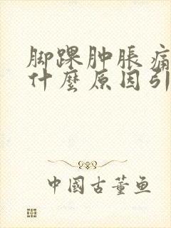 脚踝肿胀痛风是什么原因引起的封面