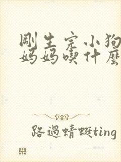 刚生完小狗的狗妈妈吃什么下奶