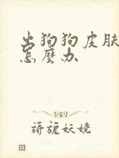 出狗狗皮肤病了怎么办