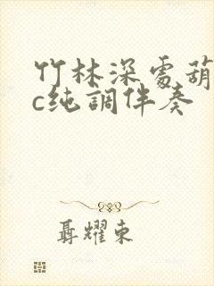 竹林深处葫芦丝c纯调伴奏