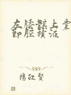 左膝髌上囊及关节腔积液