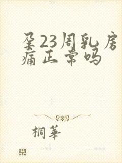 孕23周乳房胀痛正常吗封面