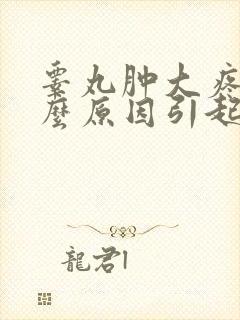 睾丸肿大疼是什么原因引起的