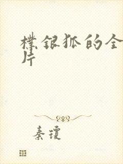 朴银狐的全部影片