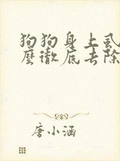 狗狗身上虱子怎么彻底去除