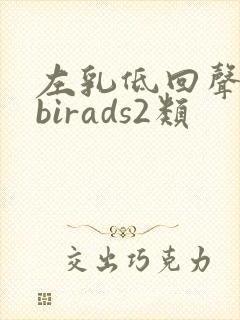 左乳低回声结节birads2类