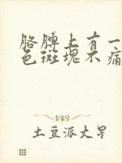 胳膊上有一块红色斑块不痛不痒