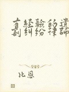 有经验的遗产分割纠纷律师咨询