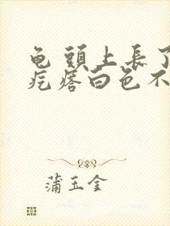 龟 头上长了小疙瘩白色不疼不痒