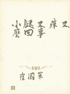 小腿又痒又肿怎么回事