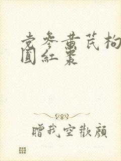 党参黄芪枸杞桂圆红枣