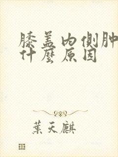 膝盖内侧肿疼是什么原因