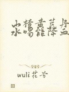 山楂黄芪丹参泡水喝能降血压吗