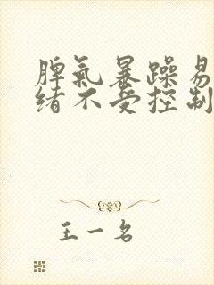 脾气暴躁易怒情绪不受控制老是打孩子