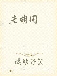 老胡同