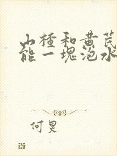 山楂和黄芪丹参能一块泡水喝吗