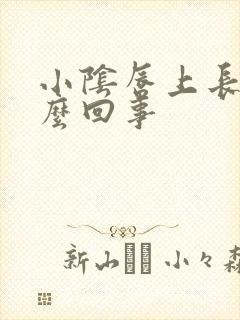 小阴唇上长疣怎么回事