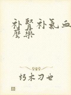 补肾补气血吃什么药