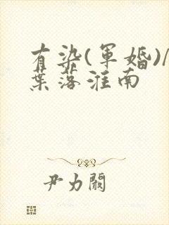 有染(军婚)/叶落淮南
