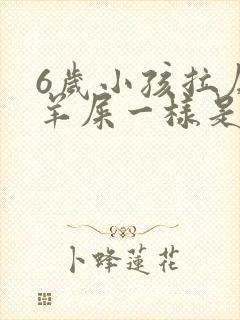 6岁小孩拉屎像羊屎一样是怎么回事封面