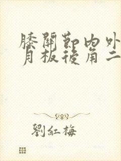 膝关节内外侧半月板后角二级损伤