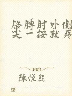 胳膊肘外侧骨头尖一按就疼