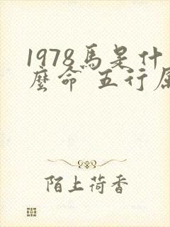 1978马是什么命 五行属什么