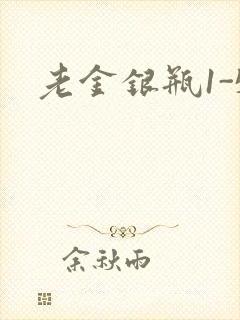 老金银瓶1-5封面