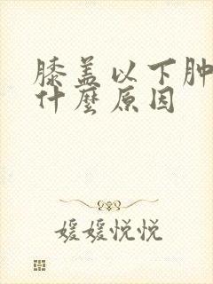 膝盖以下肿痛是什么原因