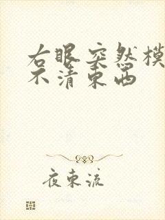 右眼突然模糊看不清东西