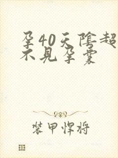 孕40天阴超看不见孕囊