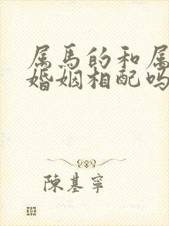 属马的和属兔的婚姻相配吗