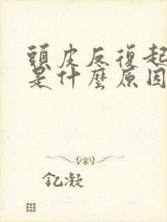 头皮反复起痘痘是什么原因封面