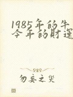 1985年的牛今年的财运怎么样