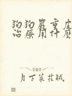狗狗严重皮肤病治疗用什么药好封面