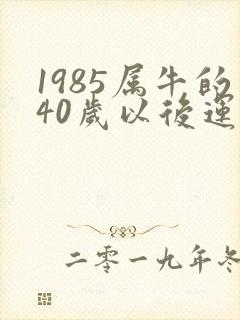 1985属牛的40岁以后运气